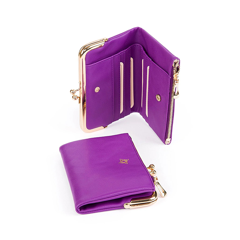 Women's Wallet with Clip and Coin Compartment BAGZY