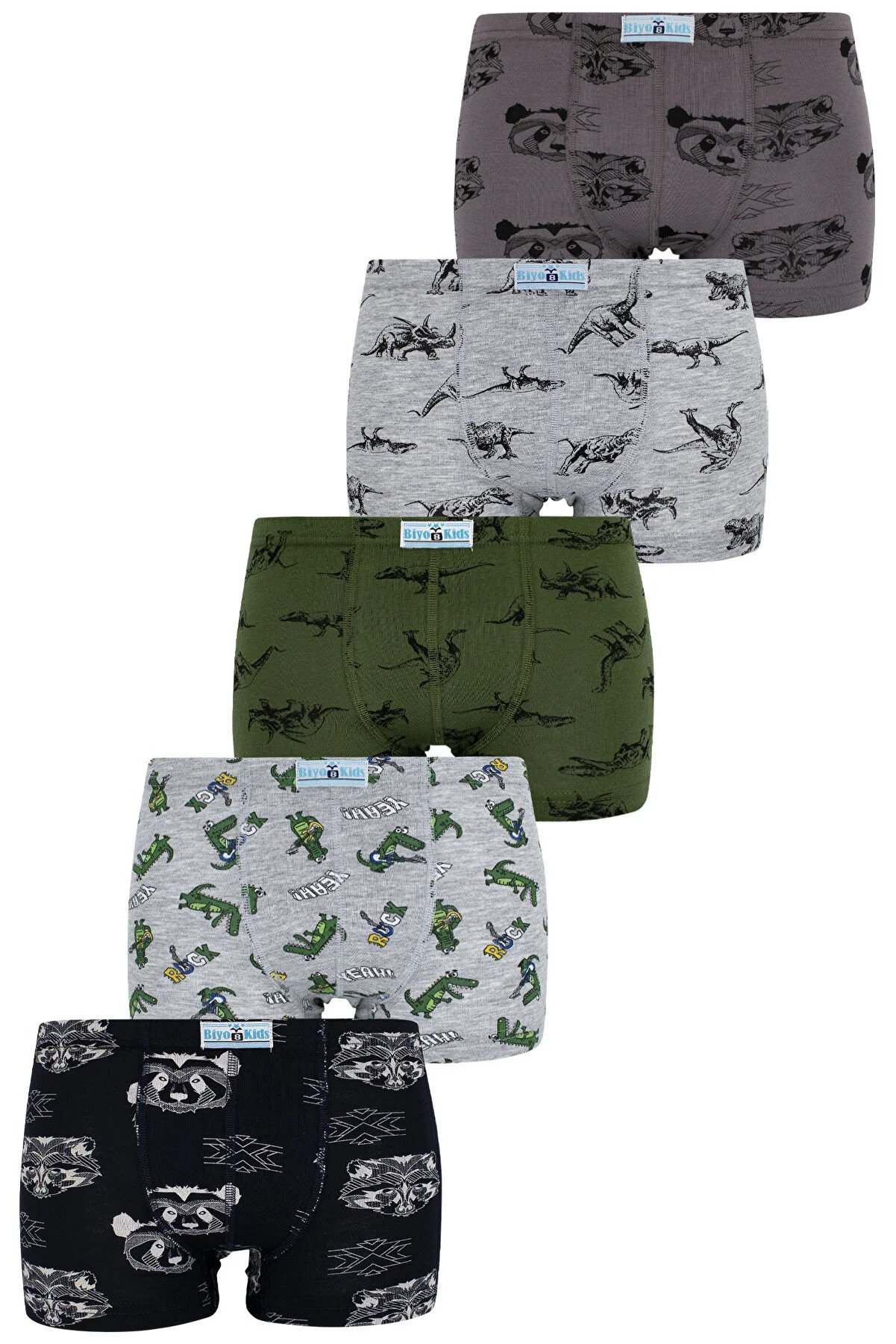 Biyokids Boys Mixed Color Printed Boxers 5 Pack